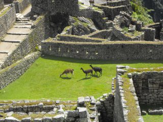 Cusco Machu Picchu Tour Full Day Demo